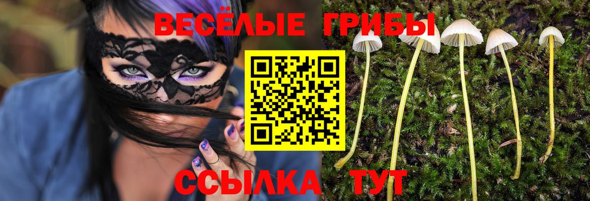 Галлюциногенные грибы Cubensis  Псилоцибиновые грибы мицелий  Вход с VPN  Екатеринбург 