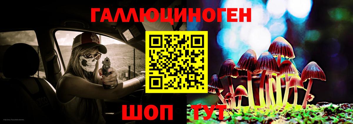 Галлюциногенные грибы Cubensis Екатеринбург
